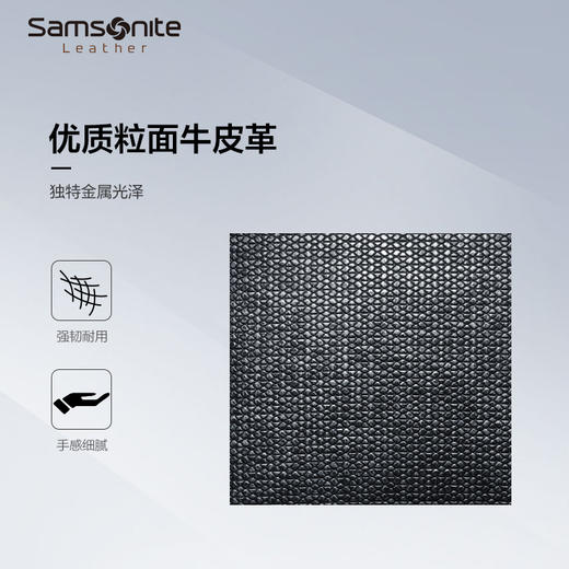 新秀丽LEGENDA高端商务单肩包NQ8*003 商品图2