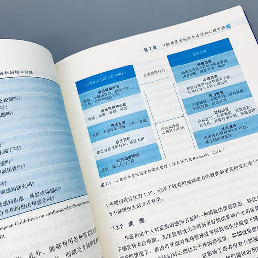 缺血性心脏病的心理治疗：循证方法与临床实践 商品图4