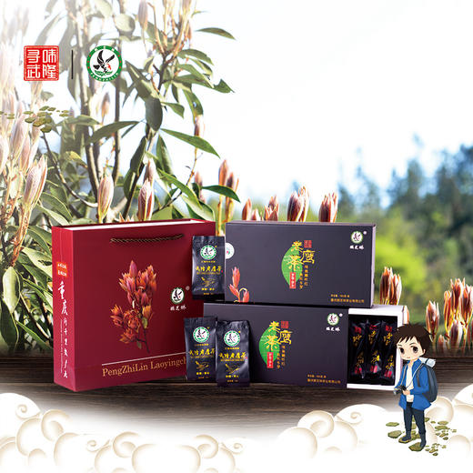 武隆鹏芝琳老鹰茶品鉴款20g 商品图1