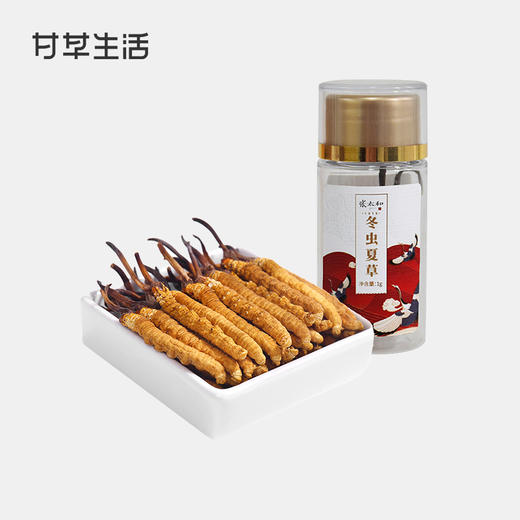 【张太和】冬虫夏草1g（约4根） 商品图0