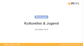 【词汇】文化&青年人丨L5-6