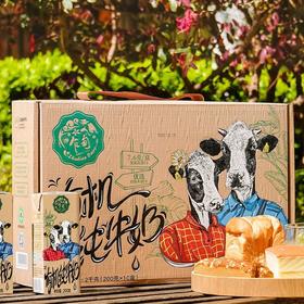 云南乍甸有机纯牛奶 高钙3.8g乳蛋白200g*10盒礼盒装