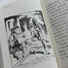 爱农译童书（第一辑全8种，共16册）赠品：译者签名书签、设计师布提袋数量有限，赠完为止。 商品缩略图8