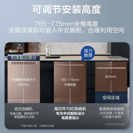 海尔（Haier）洗碗机 EYW13029T自定义门板 商品图4