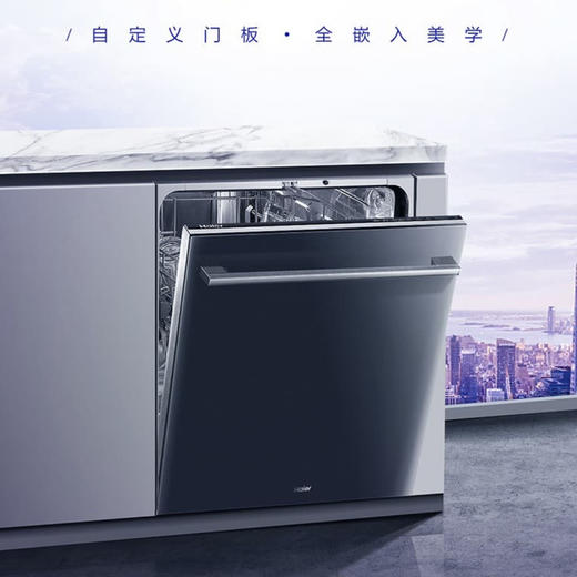 海尔（Haier）洗碗机 EYW13029T自定义门板 商品图0