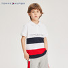 TOMMY 夏 大童小童 POLO衫 THB-PS-22B521 商品缩略图0