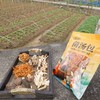 [最农公社]福建新八珍菌汤包煮汤绝配菌菇省心煮汤一包解决 商品缩略图3