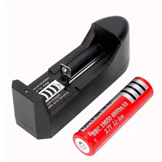18650锂电池3.7V充电器可充电 商品图1