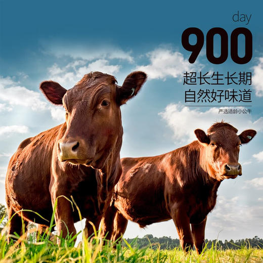 大肉密探/海中御宴N16·吉星高照牛排礼盒 商品图4