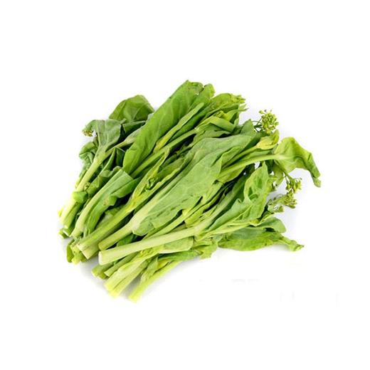 白菜苔 0.8斤 | 神农田园 广州从化【只发广东】 商品图0