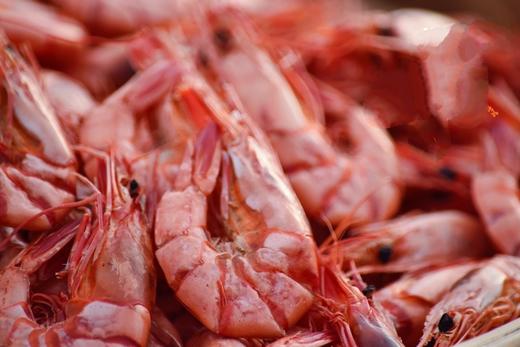 紫菜妈妈  九节虾干【冷冻保存】 商品图2