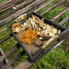 [最农公社]福建新八珍菌汤包煮汤绝配菌菇省心煮汤一包解决 商品缩略图0