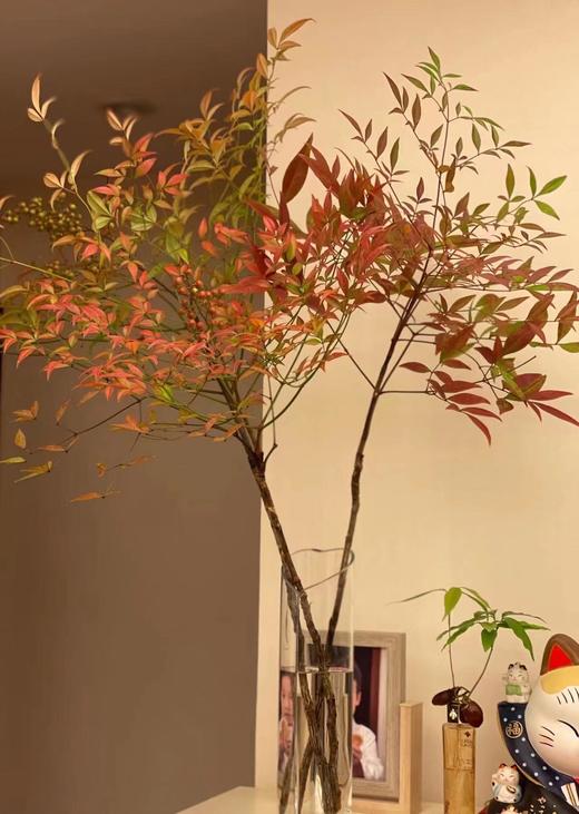 配花-南天竹-红色 商品图0