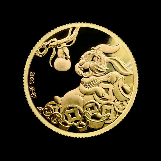 2023兔年纪念章 商品图3