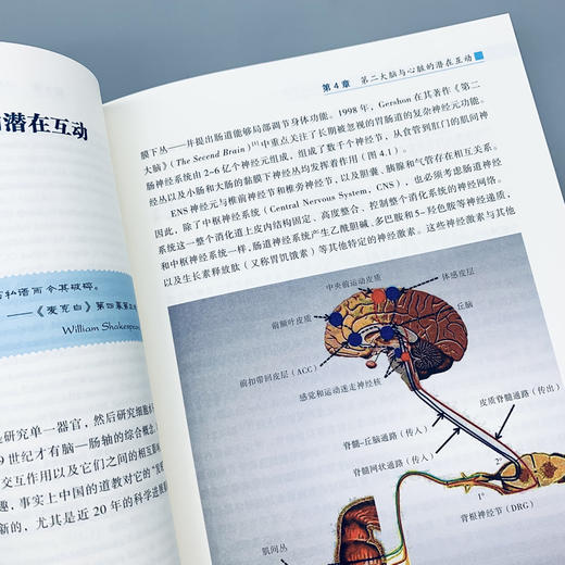 缺血性心脏病的心理治疗：循证方法与临床实践 商品图5