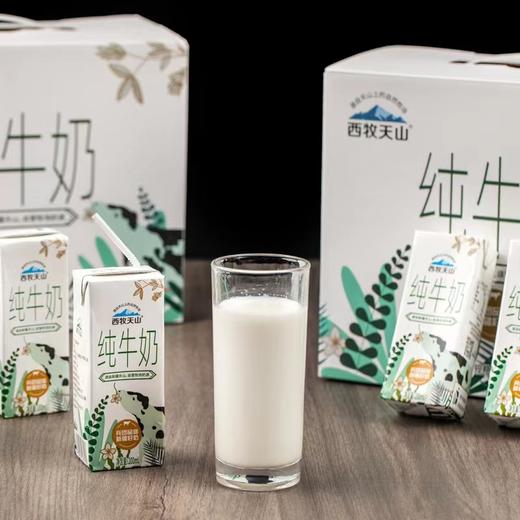 西牧天山新疆纯奶整箱12盒全脂牛奶盒装学生儿童营养早餐奶200ml 商品图1