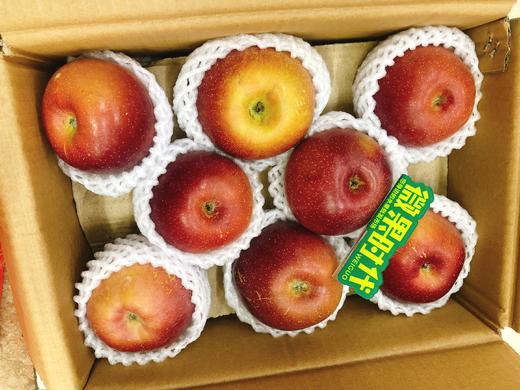 大凉山苹果一箱（拼团） 商品图1