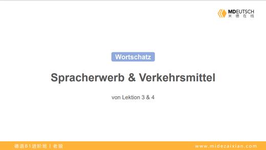 【词汇】语言学习&交通工具丨L3-4 商品图0