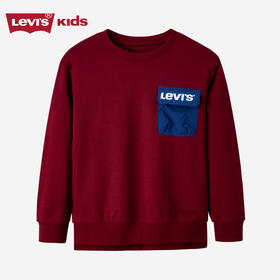 LEVIS 秋 大童  小童 卫衣 LVN-FW-G113