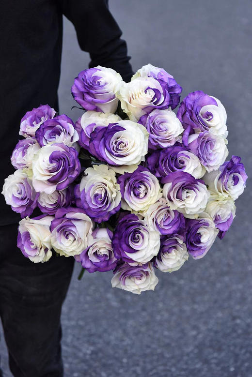 厄瓜多尔染色高端花材Purple Butterfly紫蝴蝶玫瑰10支 商品图0