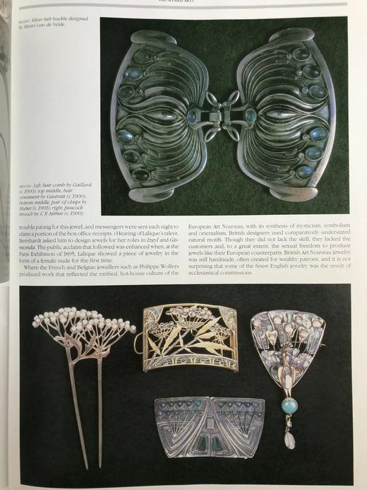 新艺术运动图集（1989） 300余幅插图 精装8开 商品图6