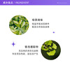 雅顿绿茶身体乳润肤乳滋润保湿清爽500ml 身体乳清新留香 商品缩略图2