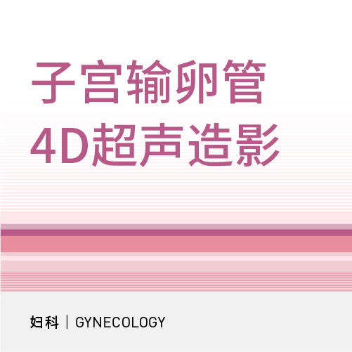 4D输卵管造影套餐 商品图0
