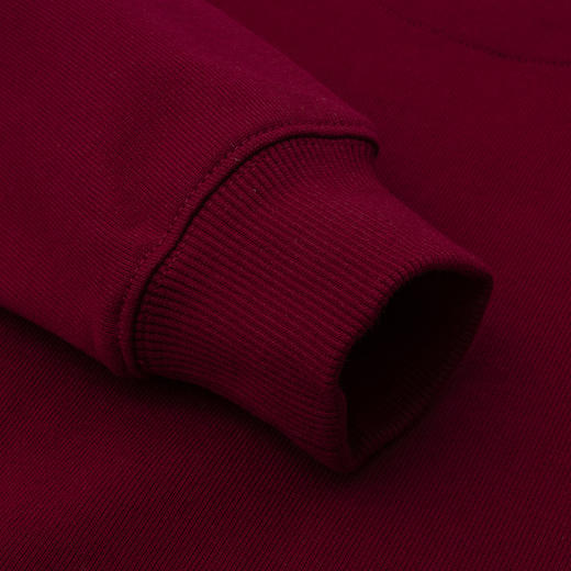 LEVIS 秋 大童  小童 卫衣 LVN-FW-G113 商品图3