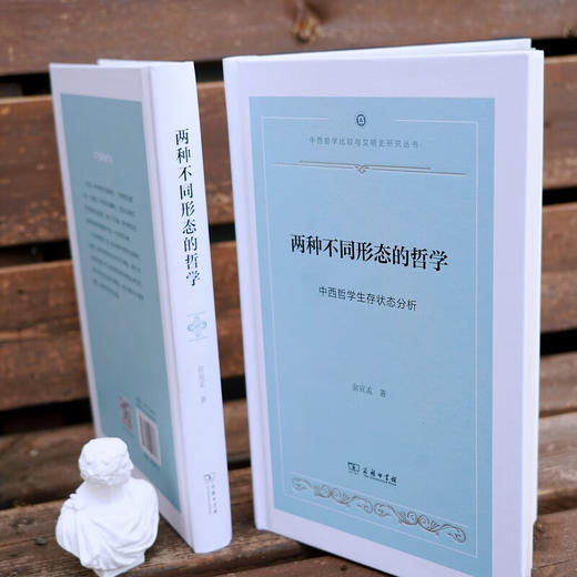 两种不同形态的哲学——中西哲学生存状态分析(中西哲学比较与文明史研究) 俞宣孟 著 商务印书馆 商品图8