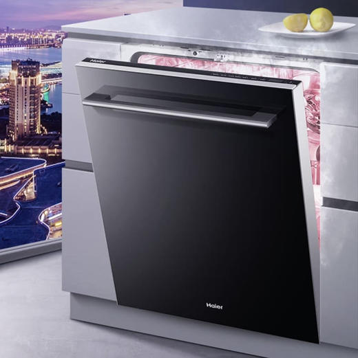 海尔（Haier）洗碗机 EYW13029T自定义门板 商品图1