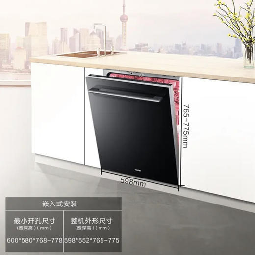 海尔（Haier）洗碗机 EYW13029T自定义门板 商品图3