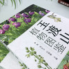 玉渡山植物 商品缩略图2