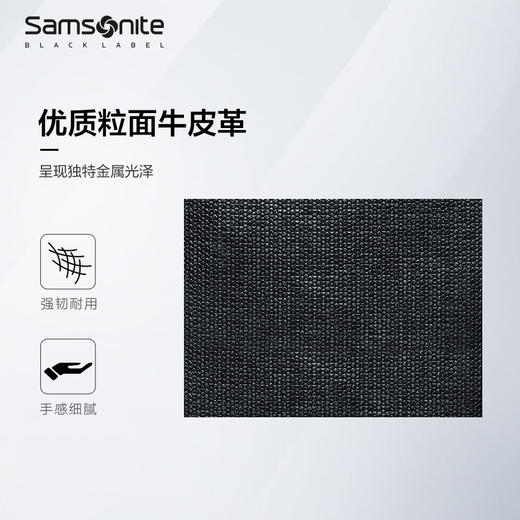 新秀丽LEGENDA高端商务双肩包NQ8*001 商品图2