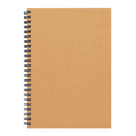 齐心 C4161 纯时代双螺旋装订本 B5 60张 线圈笔记本双铁圈记事本记事簿