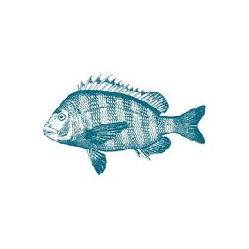 野生鱼（需预定）