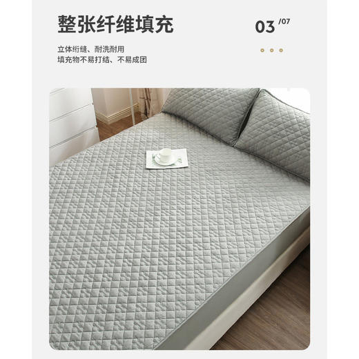 【限时折扣】防螨夹棉席梦思床垫罩 商品图2