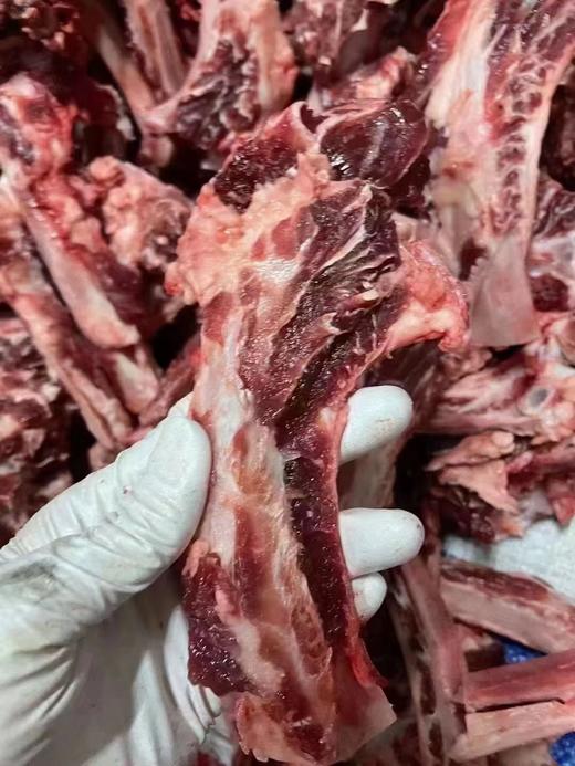 黄牛 牛排骨 商品图0