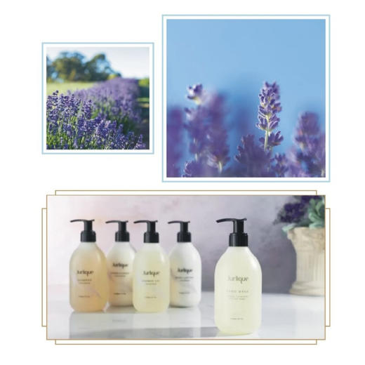 【新品】茱莉蔻薰衣草润肤露300ml（酒店版） 商品图1