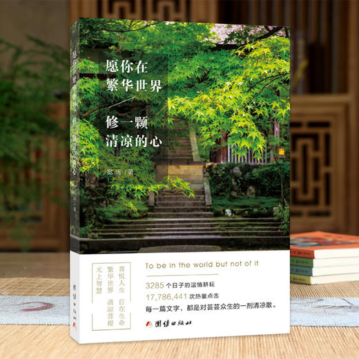 愿你在繁华世界，修一颗清凉的心 商品图0