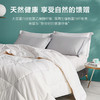 罗莱家纺床上用品被子被芯春秋被四季被50%大豆纤维被单舒柔大豆纤维被1.5米/1.8米床 200*230cm 商品缩略图2