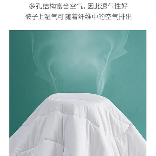 罗莱家纺床上用品被子被芯春秋被四季被50%大豆纤维被单舒柔大豆纤维被1.5米/1.8米床 200*230cm 商品图5