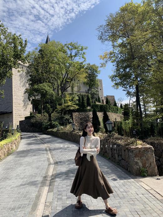 Read Nameless /100%羊毛咖色外套+咖色伞裙+插花高领打底衫 商品图8