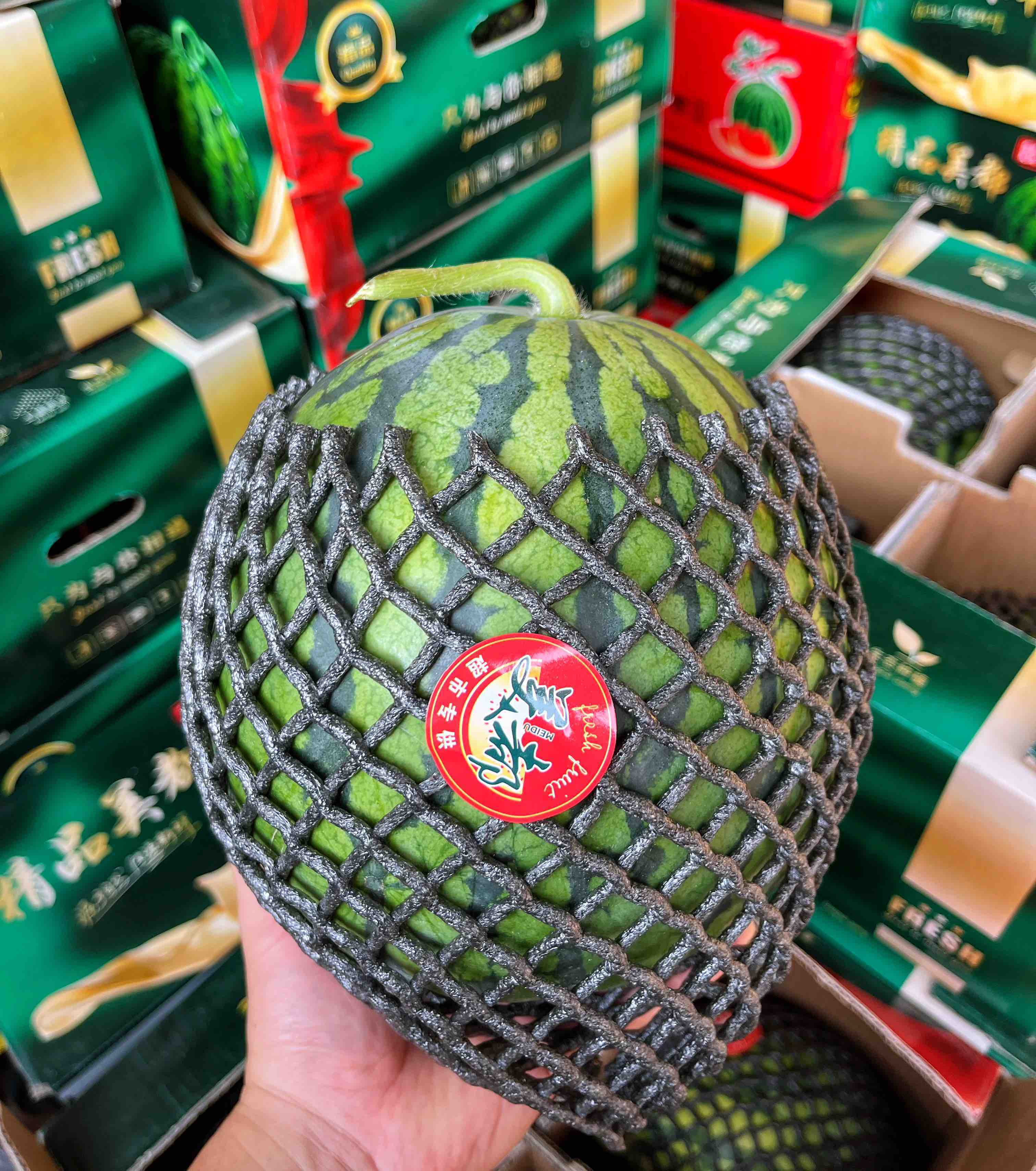 【美都西瓜】美都 无籽麒麟西瓜,新鲜绿藤,粉红果瓤,肉质嫩脆不绵柔