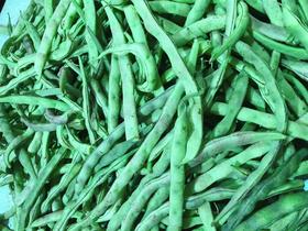 变色龙豆角2斤（拼团）