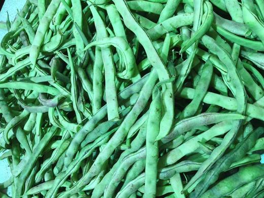 变色龙豆角2斤（拼团） 商品图0