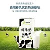 新疆特产西域春纯牛奶200g*20盒成人儿童早餐全脂全牛乳 商品缩略图2