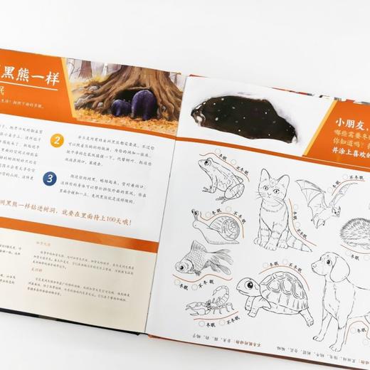 嘘,该冬眠了 商品图2