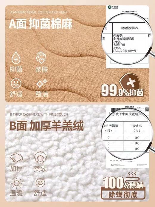 【抑菌除螨 双面电热毯】forestlife官方正品旗舰店水洗电热毯单人家用电褥子双人双控调温 商品图1