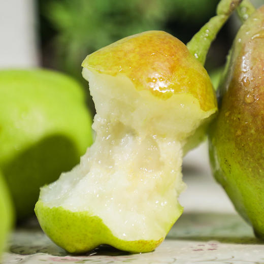 【果蔬精选】新疆库尔勒香梨 西域圣果 皮薄肉细 汁多味甜  核小无渣 生津解渴 商品图3