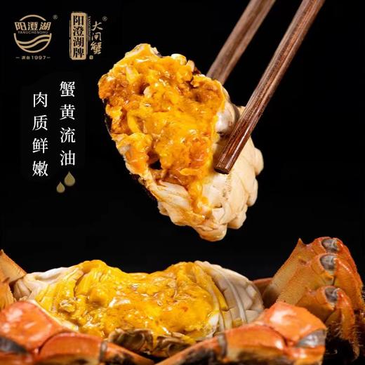 阳澄湖牌大闸蟹 有机大闸蟹礼盒礼券 大闸蟹蟹券提货卡 商品图4
